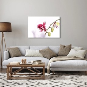 Tablou cu floarea de orhidee (90x60 cm)