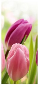 Fotojaluzele R012125R57150 (57x150 cm)