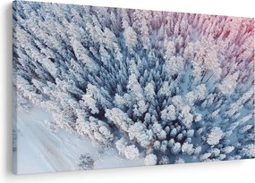 Tablou cu copaci înzăpeziți (90x60 cm)