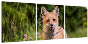 Tablou cu vulpe (cu ceas) (90x30 cm)