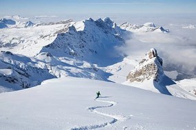 Fotografie Off-piste skier in powder snow, Geir Pettersen