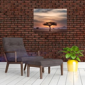 Tablou apusului de soare în Tanzania (70x50 cm)