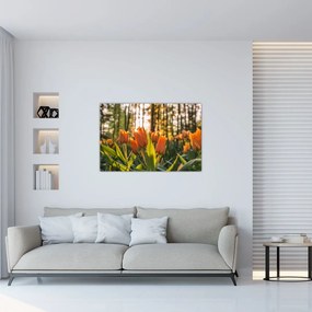 Tablou - florile lalelelor (90x60 cm)