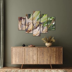 Tablou cu veverița în copaci (150x105 cm)