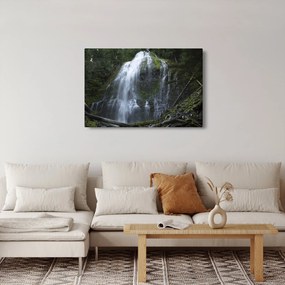 Tablou cu cascadă (90x60 cm)
