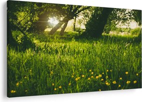 Tablou cu natura - lunca (90x60 cm)