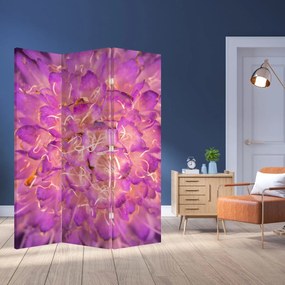 Paravan - Floare detailat (126x170 cm)