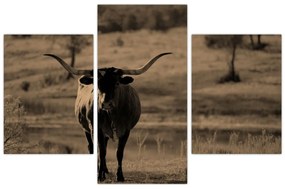 Tablou - Vacă din Texas (90x60 cm)