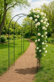 Arcada de grădină Anaterra pentru plante cățărătoare, 2 buc,