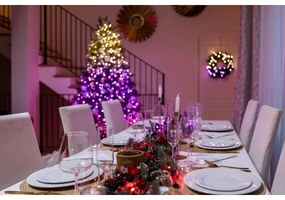 Instalație LED RGBW de Crăciun de exterior 250xLED 23,5m IP44 Wi-Fi Twinkly TWS250SPP-TEU