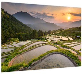 Tablou - Terase de orez (70x50 cm)