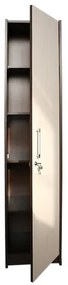 Office Wenge/Ladin Dulap 1 usa mare