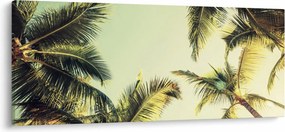 Tablou - Palmieri de cocos (120x50 cm)