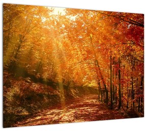 Tablou pe sticlă cu pădurea în toamnă (70x50 cm)
