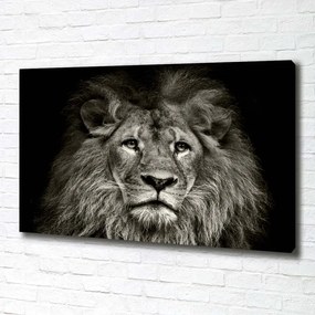 Imprimare tablou canvas Leu