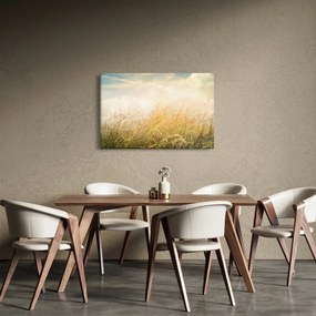Tablou - Câmp toamna (90x60 cm)
