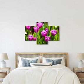 Tablou cu lale pe luncă (90x60 cm)