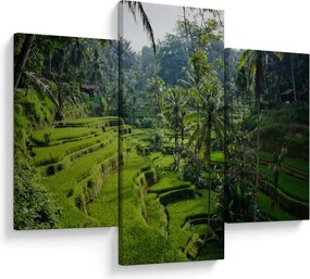Tablou cu terasele cu orez Tegalalang, Bali (90x60 cm)