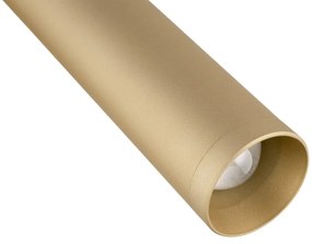 Aplica LED cu spot design modern Rio auriu