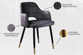 Set de 2 scaune elegante Paris gri