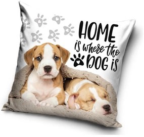 Câine Home husa de pernă 40x40 cm Catifea