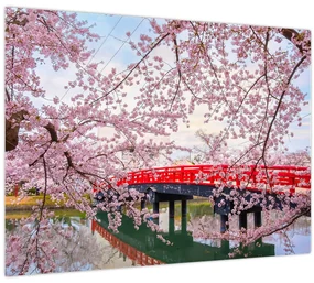 Tablou pe sticlă - Hirosaki, Japonia (70x50 cm)