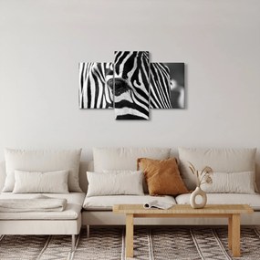 Tablou cu zebră (90x60 cm)
