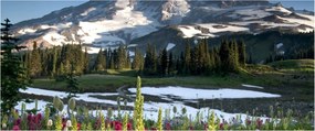 Tablou - Muntele Rainier (120x50 cm)