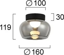 Plafonieră LED NADIA LED/9W/230V, Ø 16 cm, fumuriu/negru