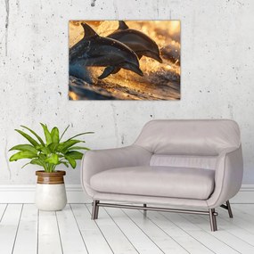 Tablou pe sticlă - Delfinii (70x50 cm)