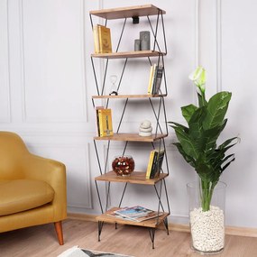 Biblioteca Balaban Pine