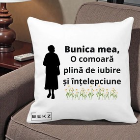Cadou pentru Bunica - Perna Personalizata Bunica Mea Comoara Iubire Intelepciune Silueta cu Nepoata, 40x40 cm, Alba Mata, Husa Detasabila, Perna Inclusa, BEKZ®