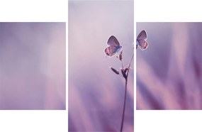 Tablou - Fluturi mov (90x60 cm)