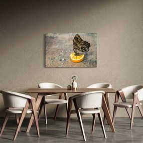 Tablou cu fluturi (90x60 cm)