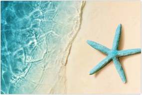 Tablou - Stea de mare pe plajă (90x60 cm)