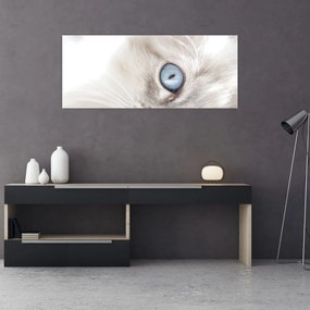 Tablou - Pisica cu ochi albaștri (120x50 cm)