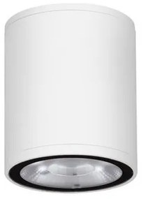 Spot LED aplicat de exterior IP65 LUMINA D-6,5cm alb