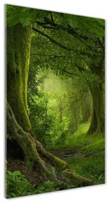 Tablou pe pe sticlă Jungla tropicala