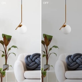 Lustră pe cablu AMBER 1xG9/5W/230V 130 cm