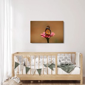 Tablou cu fluture pe floare (90x60 cm)