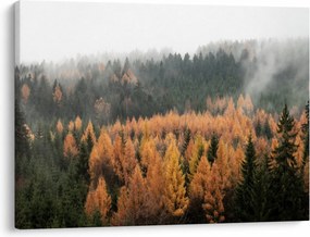 Tablou - Pădure toamna (70x50 cm)