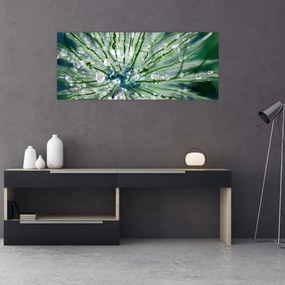 Tablou - Imagine macro a unei flori (120x50 cm)
