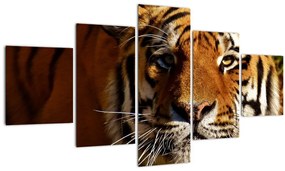 Tablou cu tigrul (125x70 cm), în 40 de alte dimensiuni noi