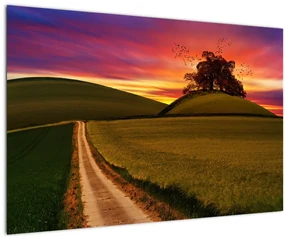 Tablou câmpului cu apus de soare (90x60 cm)