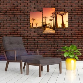 Tablou - Apus de soare pe Aleea Baobabilor (90x60 cm)