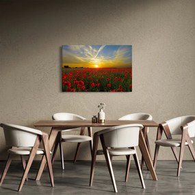 Tablou cu câmp cu maci (90x60 cm)