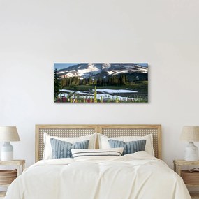 Tablou - Muntele Rainier (120x50 cm)