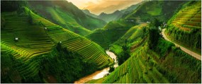 Tablou - Terase de orez Mu Cang Chai (120x50 cm)