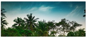 Tablou - palmierii (120x50 cm)