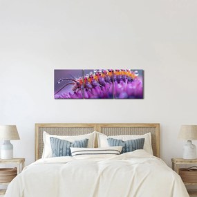 Tablou - Caterpillar (cu ceas) (90x30 cm)